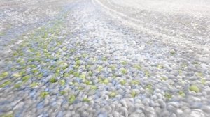 Пломбир f8622.a2.pb видео