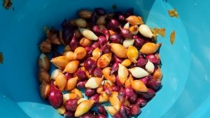 продал весь металлолом с дачи ✔ посадил первые грядки ✔ подготовил технику