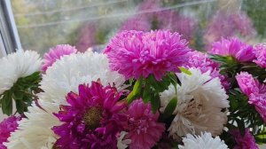 уютная жизнь в деревне