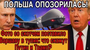 «Дрон на скотче! Польша опозорилась! Путин молчит, Трамп смеётся»