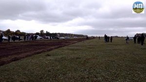 Конные бега в Поспелихинском районе