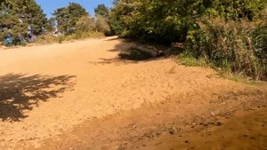 ПУТЕШЕСТВИЕ В ДИКУЮ ПРИРОДУ ФИЛЬМ 2-Й