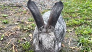 Туристическая база, в которой выявили грубые нарушения санитарных норм, продолжает принимать гостей