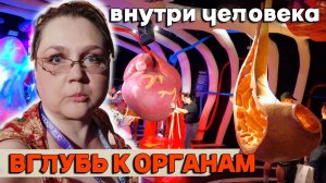 Увлекательное путешествие в человеческий организм. Смотрим кариес, щупаем печень, сердце и желудок.