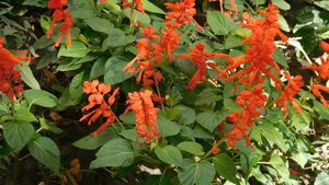 15=09=2025  ник   (2)