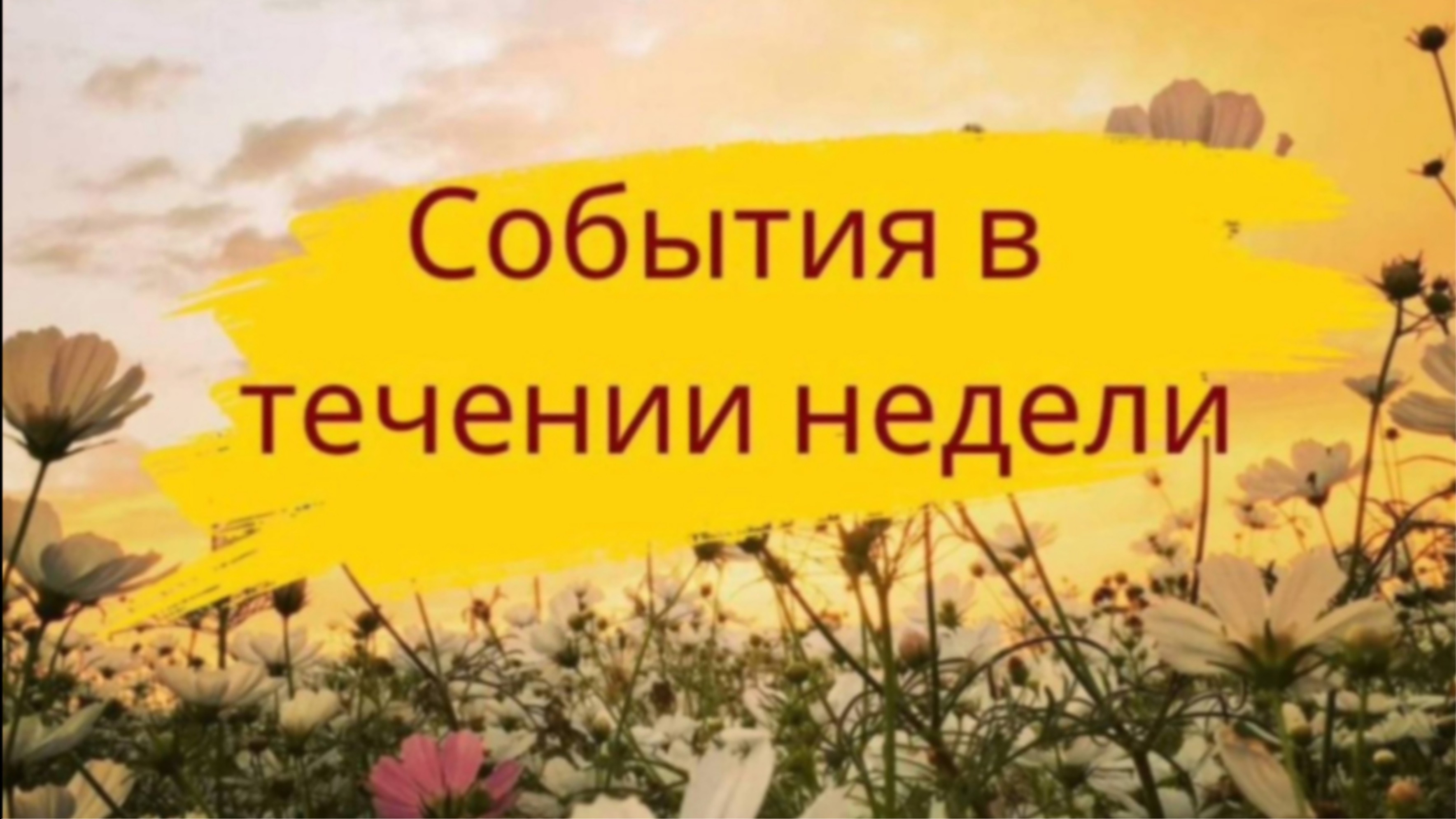 События в течении недели - 32