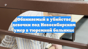 Обвиняемый в убийстве девочки под Новосибирском умер в тюремной больнице