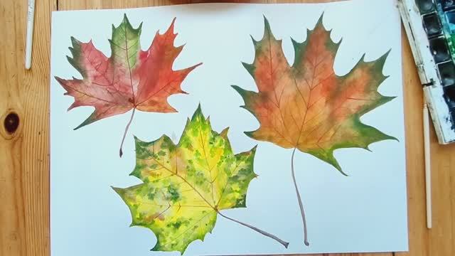 Акварель для начинающих / Осенние листья смотреть онлайн