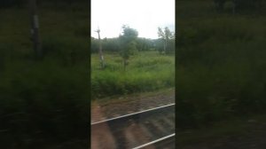 Поезд Москва-Владивосток 2025