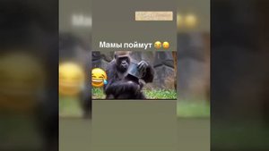 Видео от МЭН - Мне Это Нравится