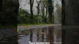 Осенний романс.