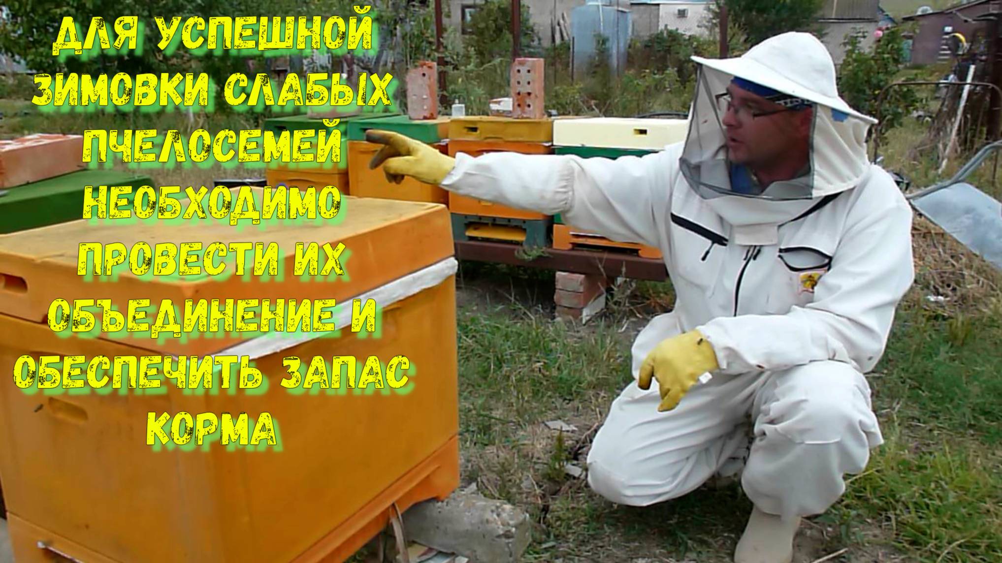 Готовим пчёл к зимовке объединяя их и обеспечивая кормом.