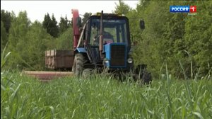 В Сыктывкаре пройдет конкурс-ярмарка "Урожай-2025"