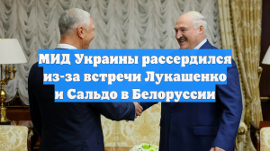МИД Украины рассердился из-за встречи Лукашенко и Сальдо в Белоруссии