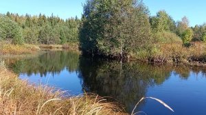 Гуляю по полю у реки Двиница.