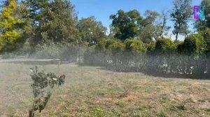 В Керчи продолжается ежедневная работа по поливу зеленых насаждений