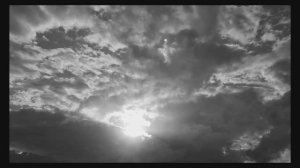 ГАТТОН (2024) /// короткометражный фильм