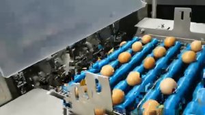 Лента из углеродистой стали для хлебопекарной печи #steelbelt #biscuitmachine #tunneloven #steelband