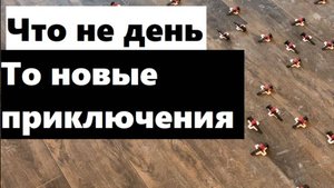 11 рабочий день: закончили с керамогранитом на полу под дерево! 20/60 керамогранит