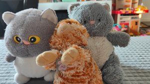 расставляем мягких плюшевых котиков для детей