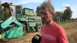 Уборку полей с Мамаем завершает фермер в Искитимском районе