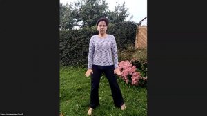 БАЛАНС 4-х СТИХИЙ на всех ЯЗЫКАХ МИРА. Ежедн.утрен. ОНЛАЙН практики. Елена Голуб, Германия МаЭД.МНШУ