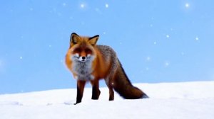 Снежный день - музыка для утра и приятного пробуждения