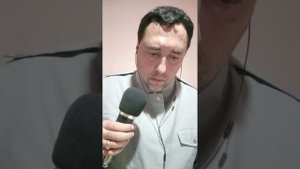 Одинокая ветка сирени