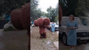 Поздравление от Чебурашки в Оренбурге .mp4