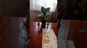 Таро.Найти выход.