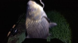 Рыбачим ночью