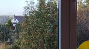 Ясный солнечный день в деревне, деревенская жизнь