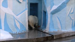 Герда не хочет играть с подарком из Японии 15.09.2025