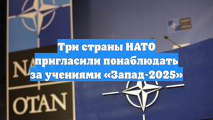 Три страны НАТО пригласили понаблюдать за учениями «Запад-2025»