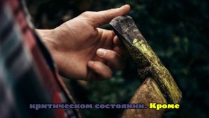 В Англии подросток с топором напал на родителей, так как не хотел идти в школу