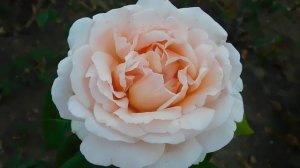 05=09=2025  Ю   КМР  (78)