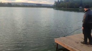 WhatsApp Video 2025-09-16 at 06.43.33