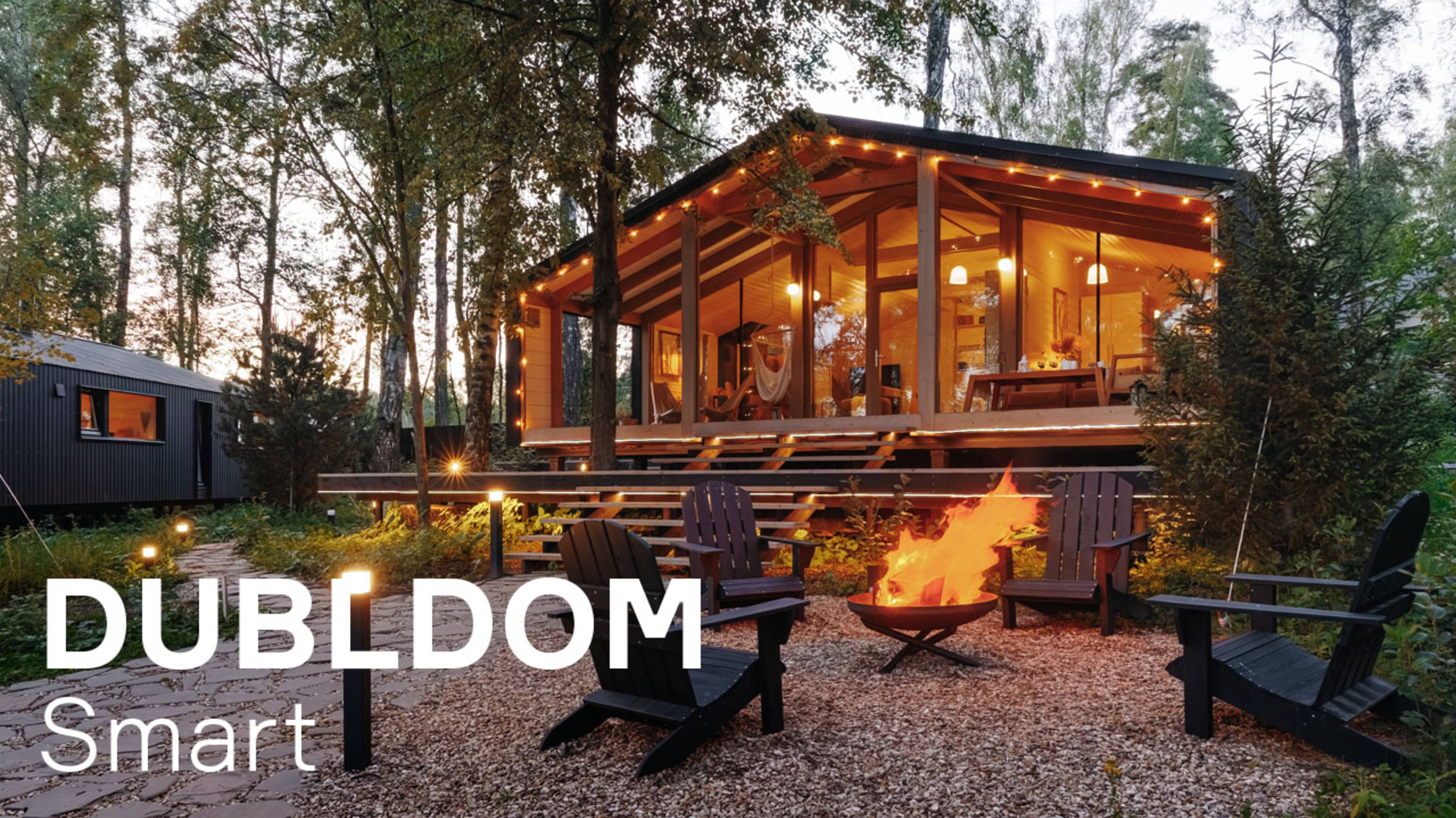 Умный ДубльДом смотреть онлайн