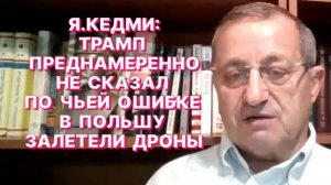Я.КЕДМИ: Залетевшие в Польшу дроны – это традиционная украинско-бандеровская политика провокаций