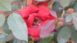 05=09=2025  Ю  КМР  (47)