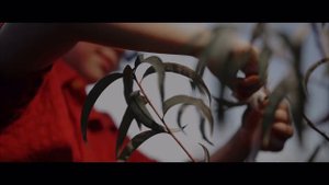 🎶Мытарь. Валерий Шибитов