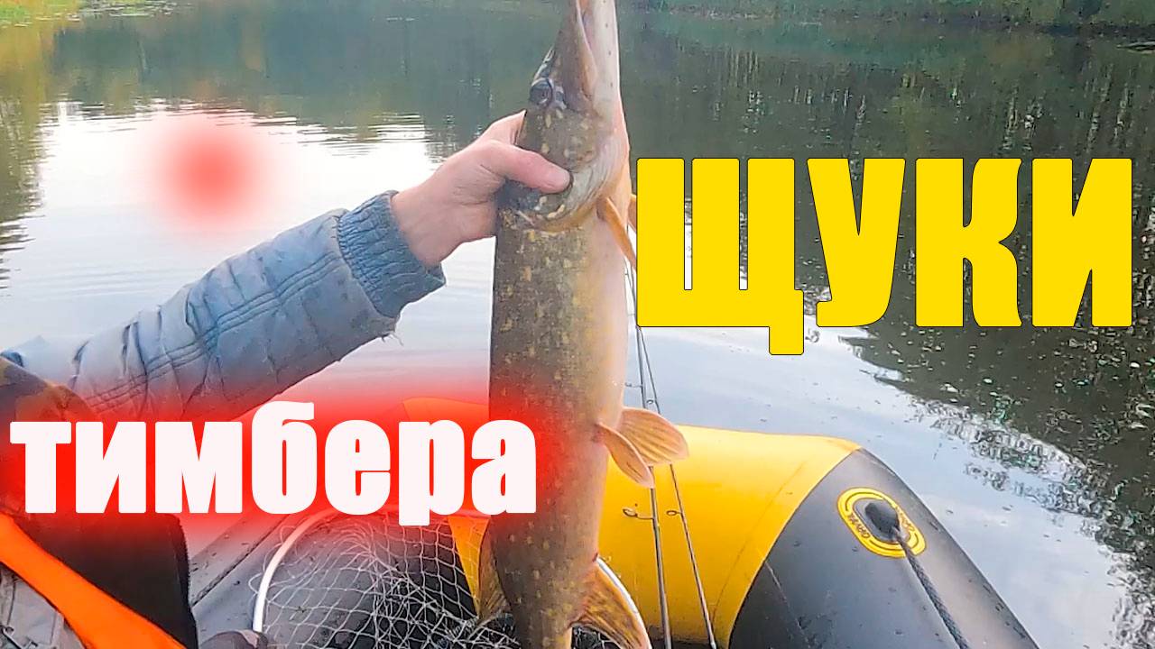 «Ловля щуки в водоёмах Калининградской области» "Тимбер"