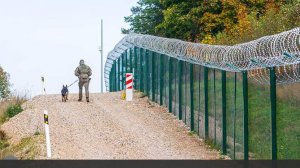 В Эстонии начали строить противотанковый ров у границы с Россией