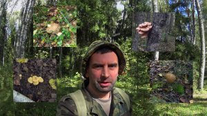 Сентябрьские грибы Белые, подосиновики, опята и лисички | 2025