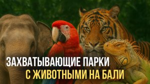 Захватывающие парки с животными на Бали. Опасные вараны, тигры, кобры и кормление лемуров
