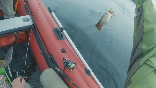 Скандальная рыбалка 18+. Рыбалка на Вуоксе. Рыбалка в Ленинградской области. смотреть онлайн