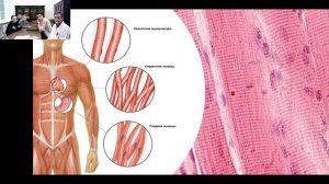 Заседание СНО 10.11.22