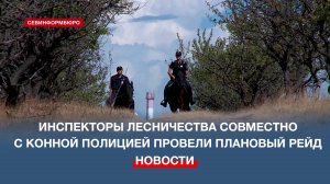 Инспекторы Севастопольского лесничества совместно с конной полицией провели 22-й плановый рейд