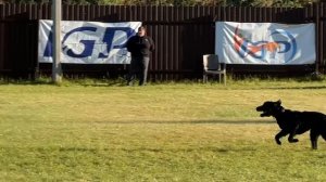 Куфия, 💥Кубок России по IGP-3 2025💥
11-14.09.2025, раздел В-89 баллов.