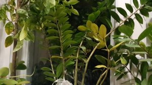 Ну вот и лето убежало...